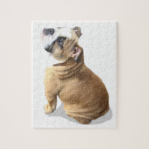 puzzle anglais de chiot de bouledogue de chiot
