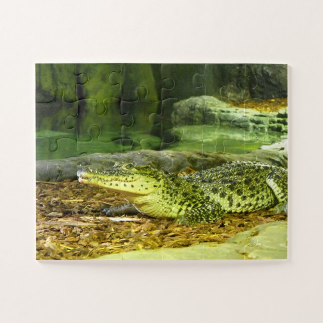 Puzzle animal de crocodile cubain (Horizontal)
