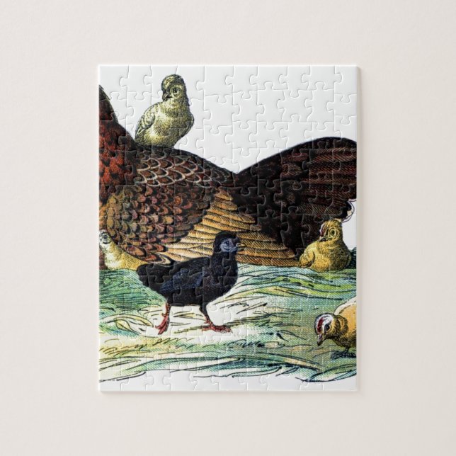 Puzzle Animal de cru de poulets (Vertical)