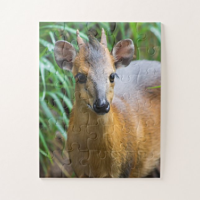 Puzzle animal du zoo pour enfants (Vertical)