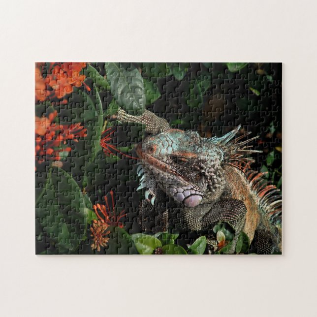 Puzzle Animal Iguana Exotique Reptile Pet Lizard USVI (Horizontal)