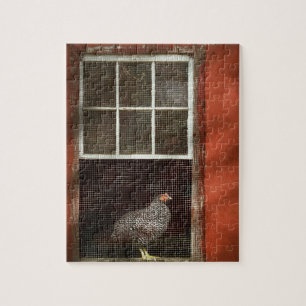 Puzzle Animal - Oiseau - Poulet dans une fenêtre