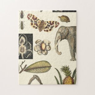 Puzzle Animaux agressés peints sur Arrière - plan de crèm