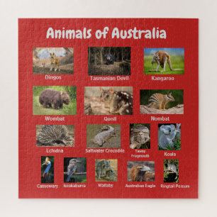 Puzzle Animaux d'Australie