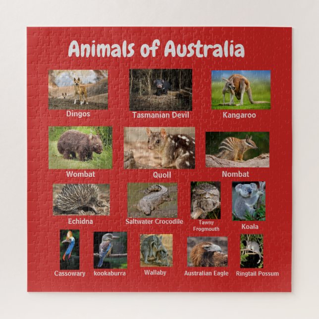 Puzzle Animaux d'Australie (Vertical)