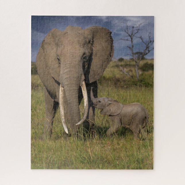 Puzzle Animaux de bébés cutest | Amama Elephant Avec Bébé (Vertical)