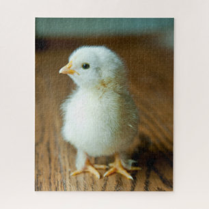 Puzzle Animaux de bébés cutest   Baby Chick