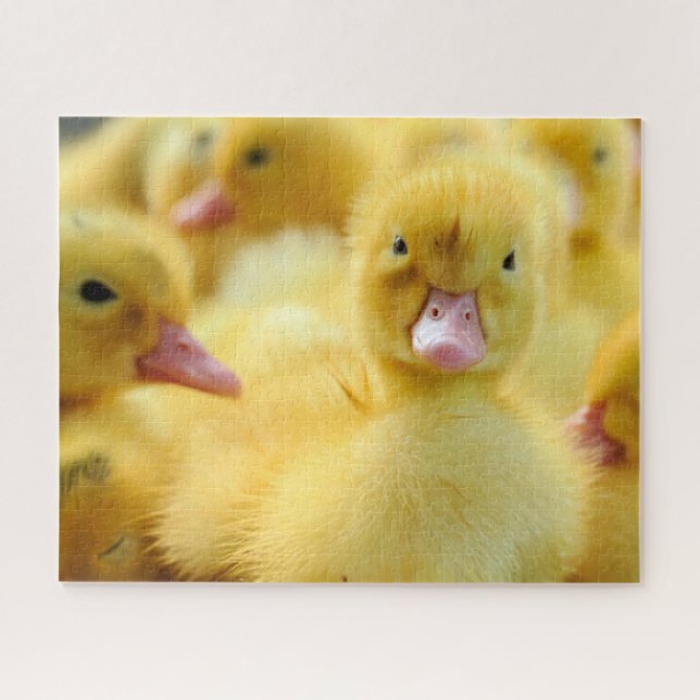 Puzzle Animaux de bébés cutest | Baby Duck Group (Horizontal)