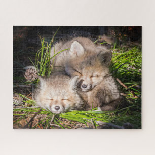 Puzzle Animaux de bébés cutest   Baby Red Fox Kits Sleepi