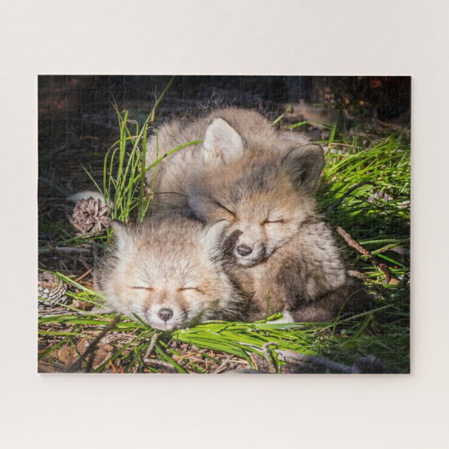 Puzzle Animaux de bébés cutest | Baby Red Fox Kits Sleepi (Horizontal)