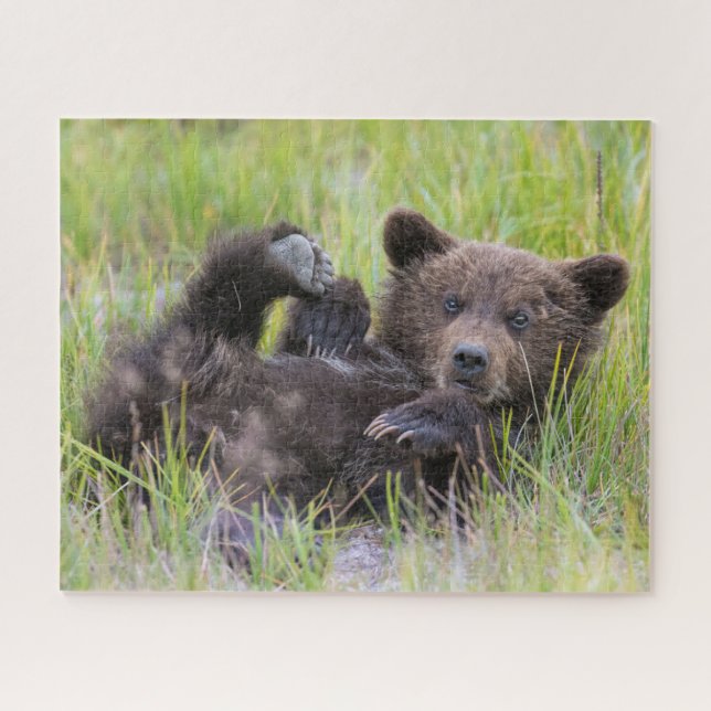 Puzzle Animaux de bébés cutest | Bébé Ours Brown (Horizontal)