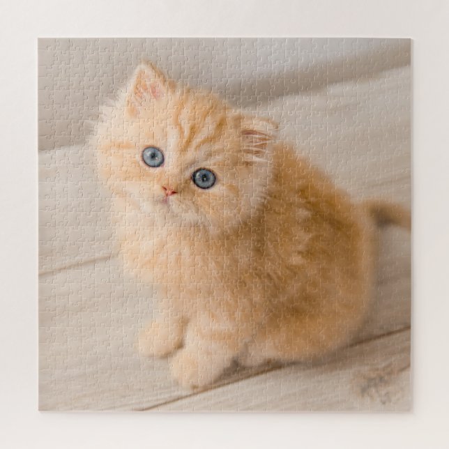 Puzzle Animaux de bébés cutest | British Longhair Kitten (Vertical)