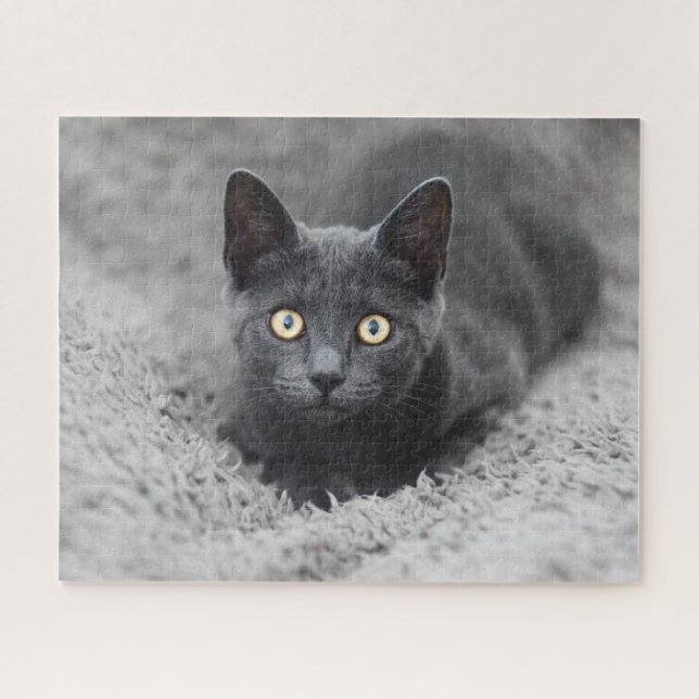 Puzzle Animaux de bébés cutest | Chat gris (Horizontal)