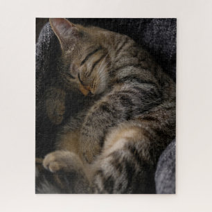 Puzzle Animaux de bébés cutest   Chat Tabby Dormant