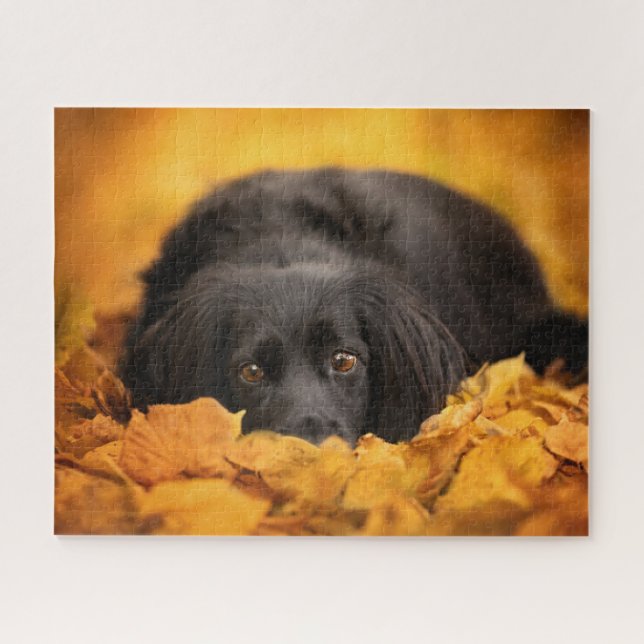 Puzzle Animaux de bébés cutest | Chiot noir espagnol (Horizontal)