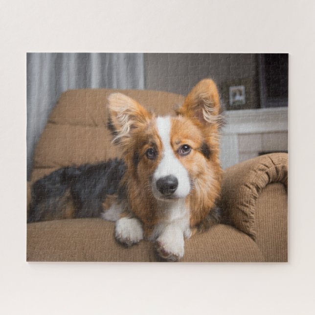 Puzzle Animaux de bébés cutest | Coiffeuse à cheveux long (Horizontal)