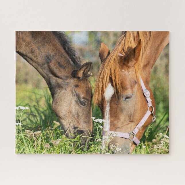 Puzzle Animaux de bébés cutest | Colt à cheval (Horizontal)