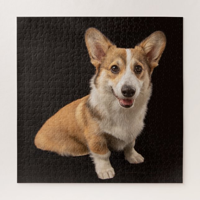 Puzzle Animaux de bébés cutest | Corgi Portrait sur Noir (Vertical)