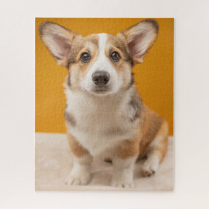Puzzle Animaux de bébés cutest   Corgi Portrait sur Orang