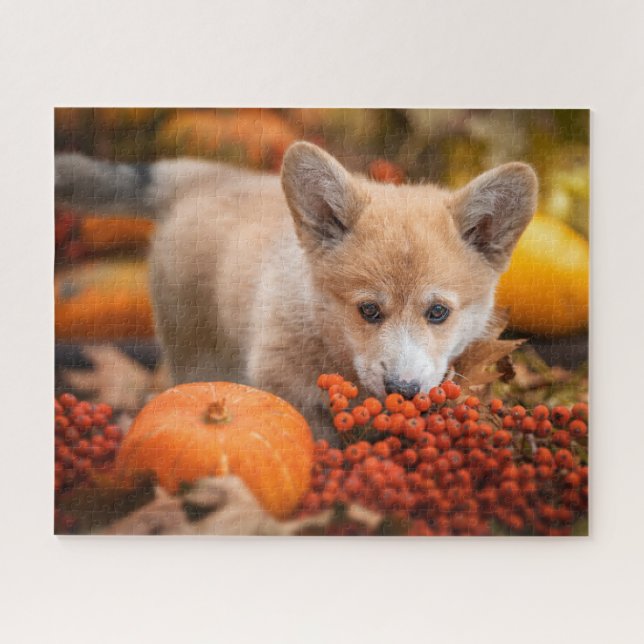 Puzzle Animaux de bébés cutest | Corgi Puppy en automne (Horizontal)