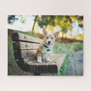 Puzzle Animaux de bébés cutest   Corgi Puppy sur un banc