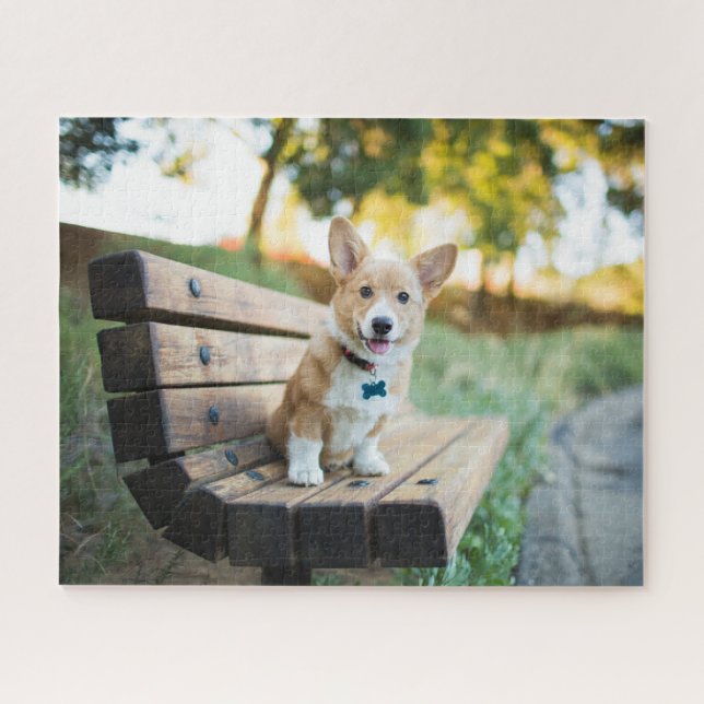 Puzzle Animaux de bébés cutest | Corgi Puppy sur un banc  (Horizontal)