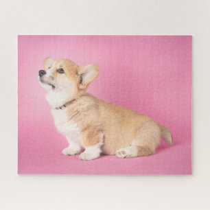 Puzzle Animaux de bébés cutest   Corgi rose Chiot