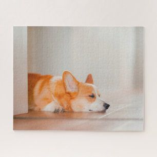 Puzzle Animaux de bébés cutest   Corgi Sleeping