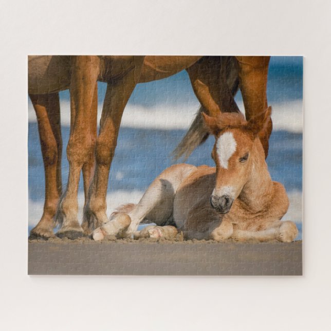 Puzzle Animaux de bébés cutest | Corolla nouvellement née (Horizontal)