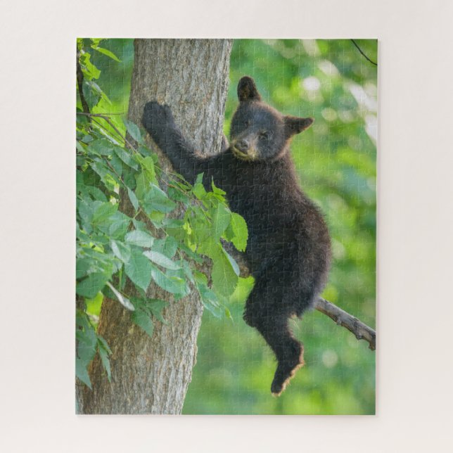 Puzzle Animaux de bébés cutest | Cube d'ours noir (Vertical)