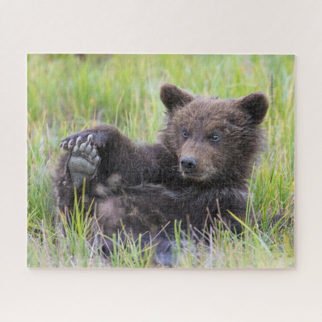 Puzzle Animaux de bébés cutest | Cute Brown Bear Cub Joue (Horizontal)
