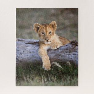 Puzzle Animaux de bébés cutest   Cute Lion Cub