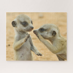 Puzzle Animaux de bébés cutest   Deux jeunes Meerkats