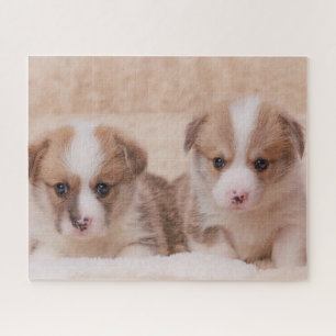 Puzzle Animaux de bébés cutest Deux Marionnettes Corgi
