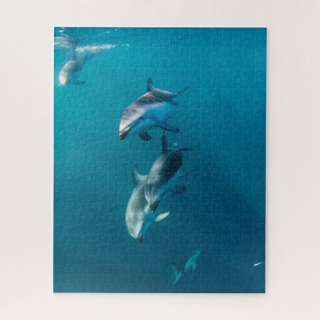 Puzzle Animaux de bébés cutest | Famille de dauphins (Vertical)