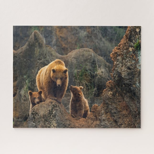 Puzzle Animaux de bébés cutest | Famille d'ours Brown (Horizontal)