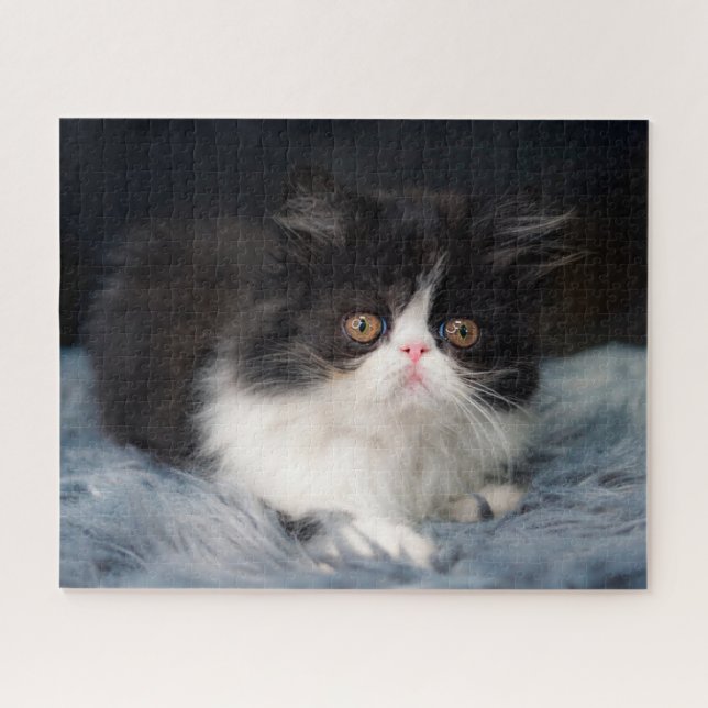 Puzzle Animaux de bébés cutest | Fluffy B&W Kitten (Horizontal)