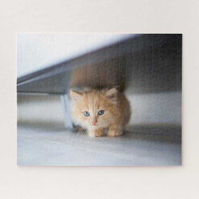 Puzzle Animaux de bébés cutest | Fluffy Orange Kitten (Horizontal)