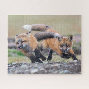 Puzzle Animaux de bébés cutest Fox Pups en jeu