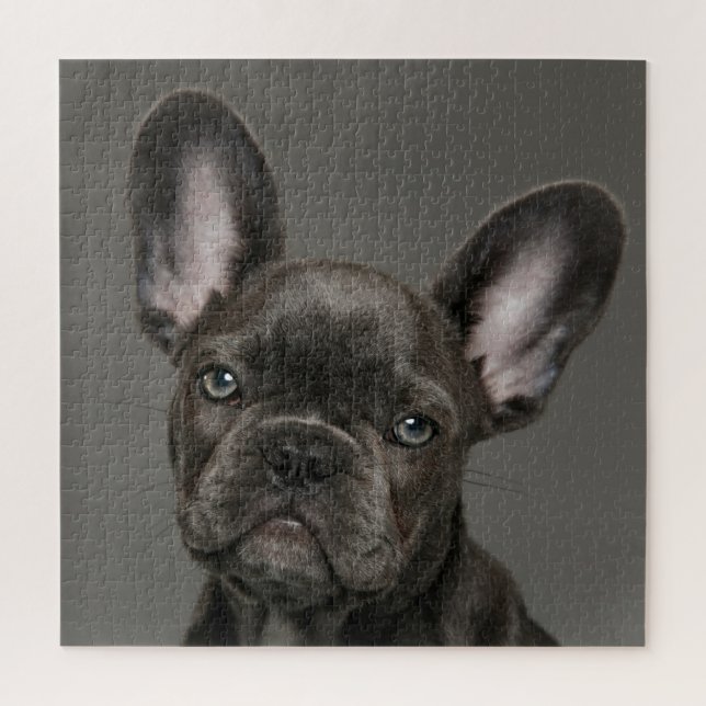 Puzzle Animaux de bébés cutest | French Bulldog (Vertical)