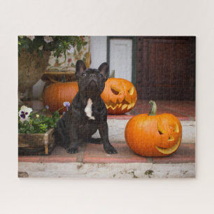 Puzzle Animaux de bébés cutest   French Bulldog Halloween