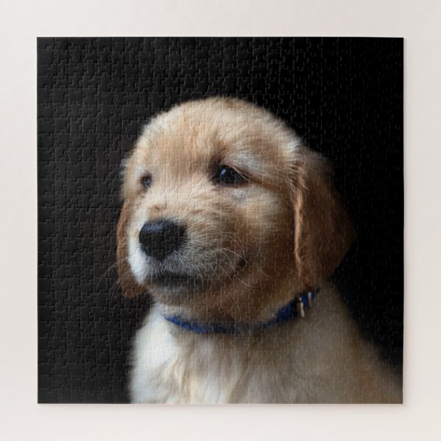 Puzzle Animaux de bébés cutest | Golden Retriever Puppy (Vertical)