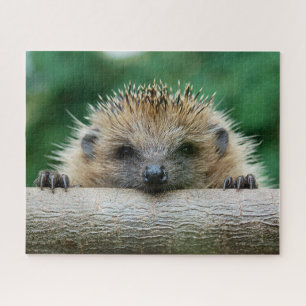 Puzzle Animaux de bébés cutest   Hedgehog Smile