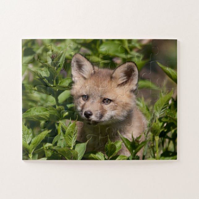 Puzzle Animaux de bébés cutest | Kit Fox (Horizontal)