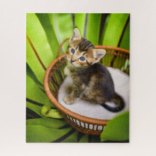 Puzzle Animaux de bébés cutest Kitten dans le panier