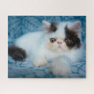 Puzzle Animaux de bébés cutest Kitten noir et blanc