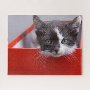 Puzzle Animaux de bébés cutest Kitten noir et blanc