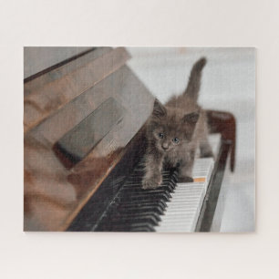 Puzzle Animaux de bébés cutest   Kitten sur piano