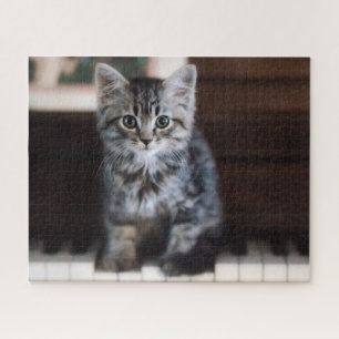 Puzzle Animaux de bébés cutest   Kitten sur Touches de pi