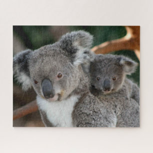Puzzle Animaux de bébés cutest   Koala et Joey